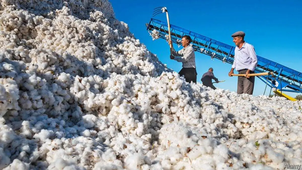 INTERNATIONAL COTTON MARKET UPDATE